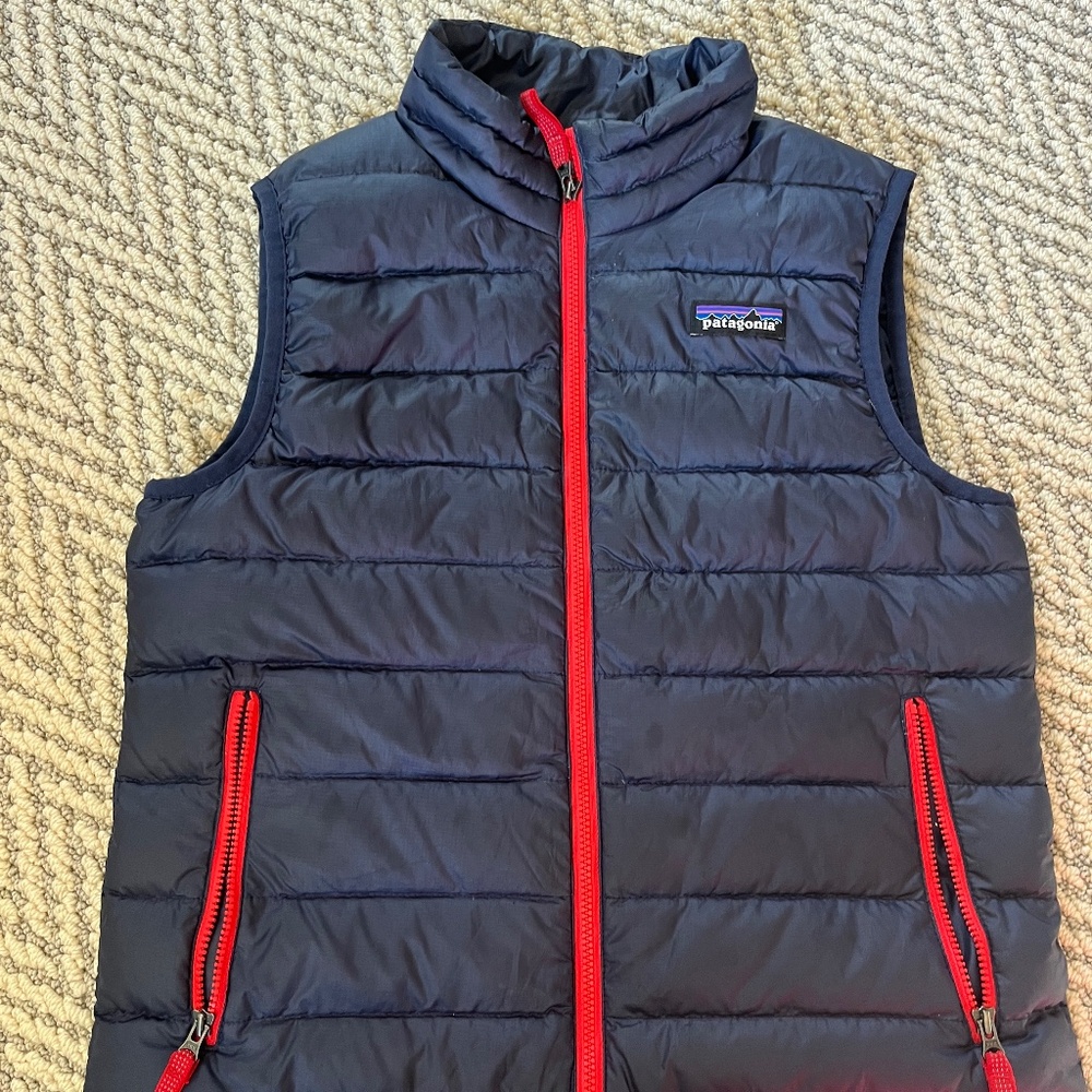 Patagonia Puffy Vest